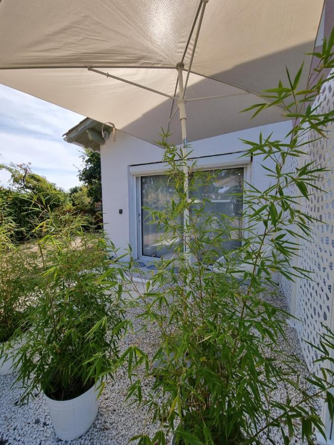 Au Jardin de la Saudrune Villeneuve-Tolosane Extérieur photo